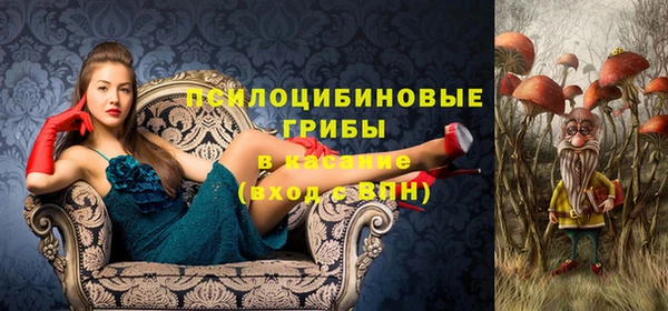 бошки Абдулино