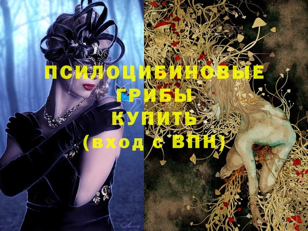 героин Алексин